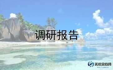 纪检案件调查报告范文最新3篇