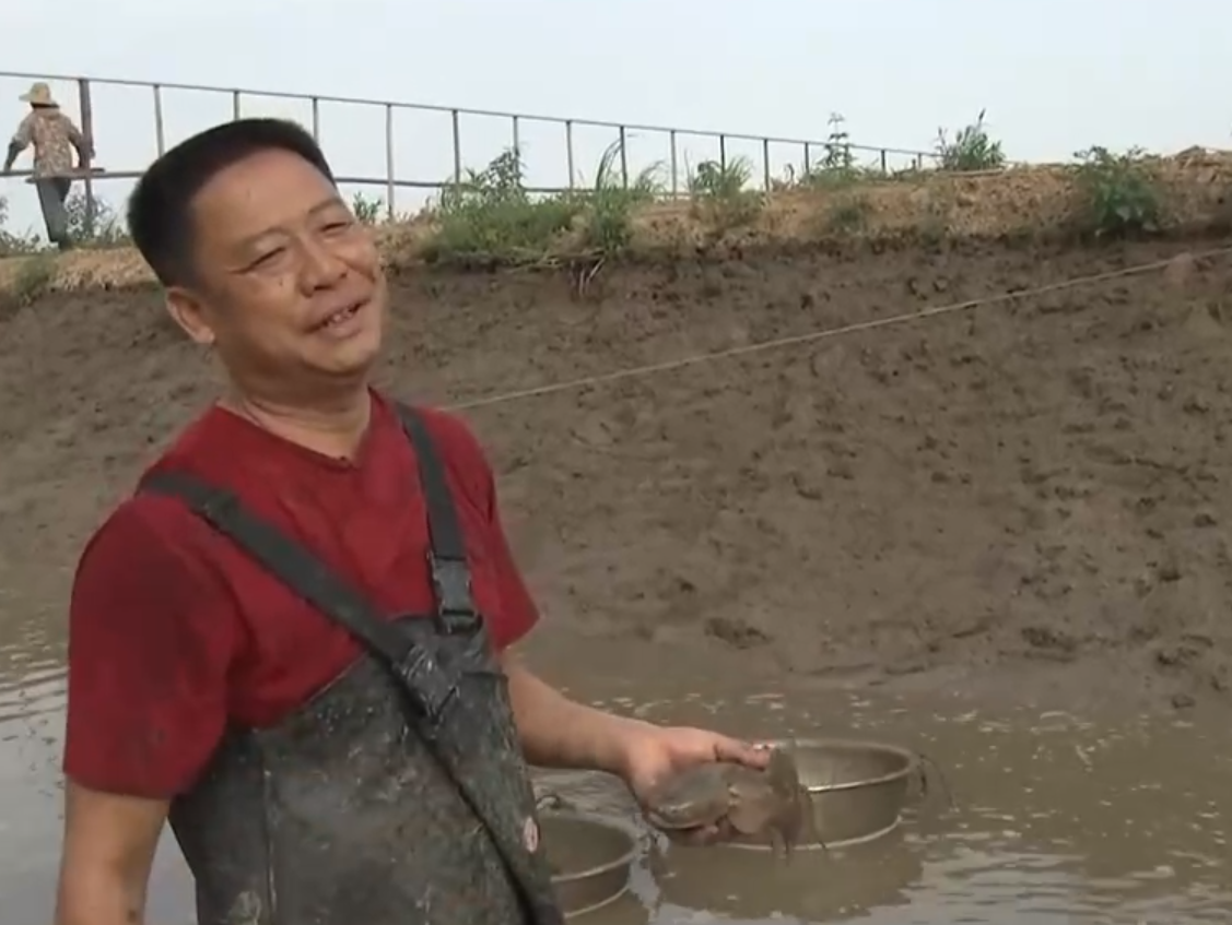 致富经养虾_致富经养殖虾_致富经淡水虾养殖视频