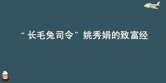 “长毛兔司令”姚秀娟的致富经