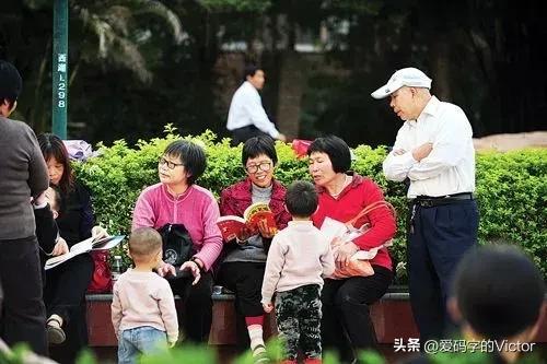 幼儿园等级创建经验分享材料_幼儿园等级创建经验交流_等级园优质经验分享