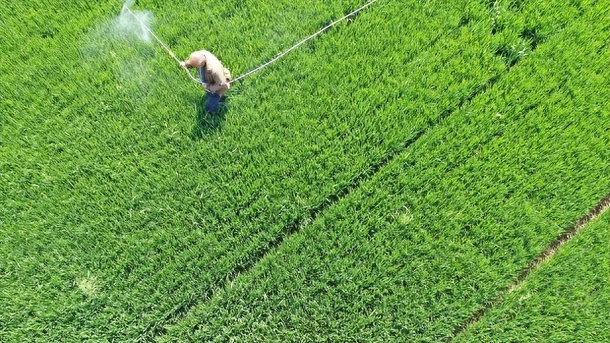 优质粮食工程典型经验交流_粮食工作交流材料_优质粮食工程总结