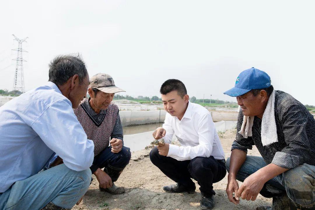 致富经甲鱼_致富经甲鱼养殖技术视频_甲鱼致富经