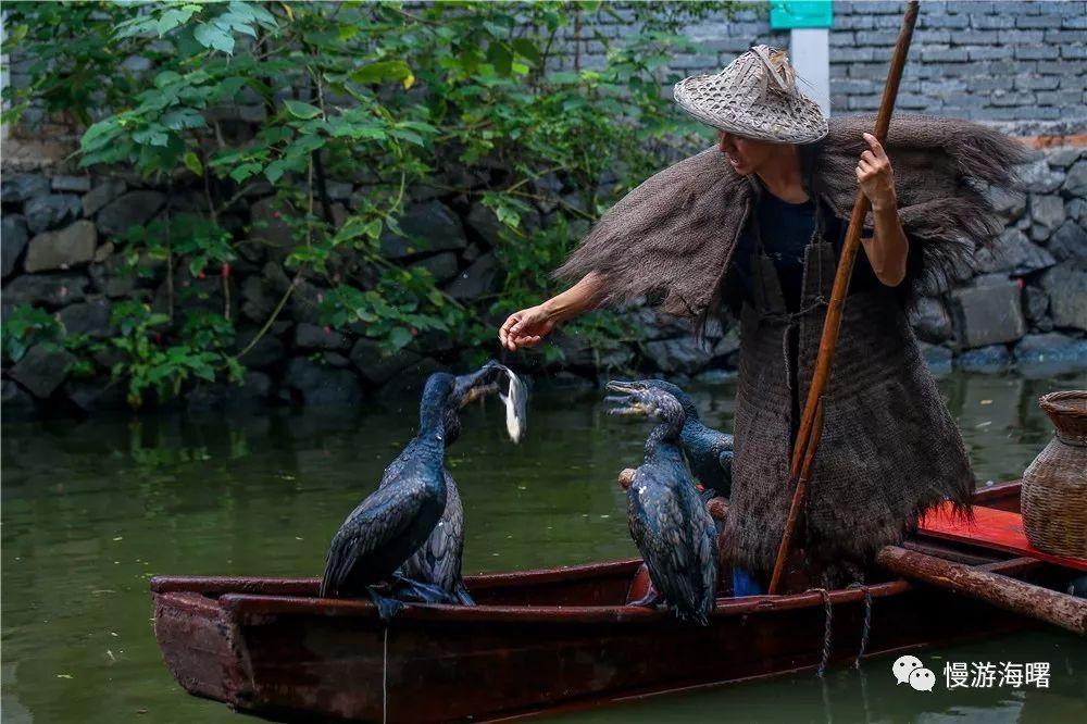 致富经甲鱼_致富甲鱼养殖技术_致富经甲鱼养殖视频