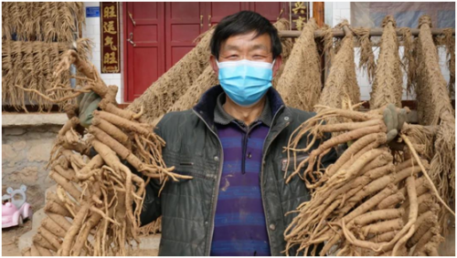 马致富临沂_致富经马_长沙交警马致富