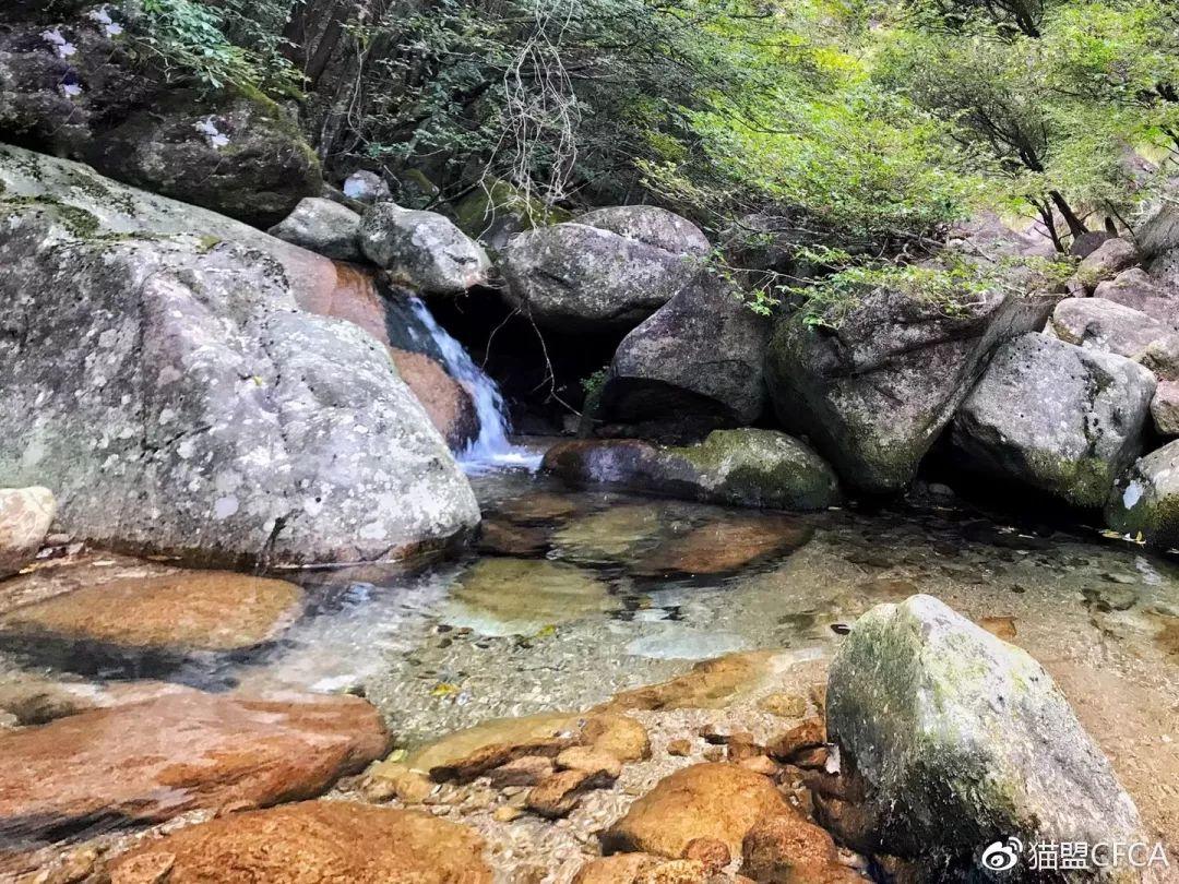 致富经甲鱼养殖视频_致富经甲鱼_致富经甲鱼养殖技术视频