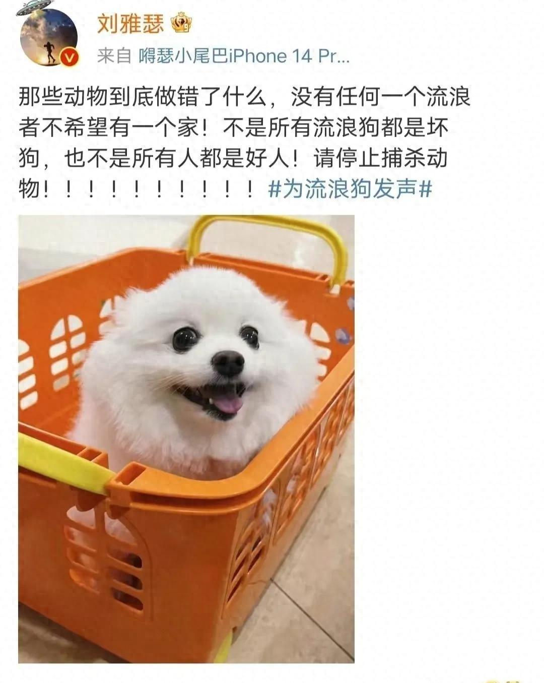 心得回应_心得回应怎么写_优质回答的经验心得