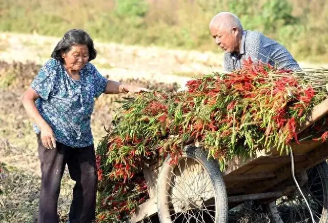 梦想世界 经验心得_梦想经历_心得梦想经验世界怎么写