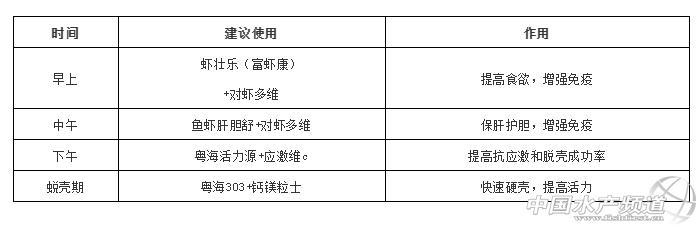 致富经养虾_致富经淡水虾养殖视频_致富经养殖虾