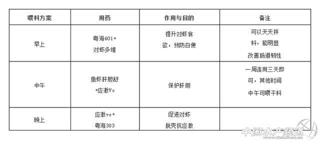 致富经养虾_致富经养殖虾_致富经淡水虾养殖视频