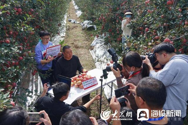 致富种植糖料蔗文案怎么写_致富种植业_种植致富经