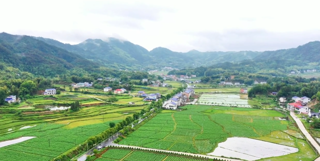 贺桂香：坚持原生态养殖 助力“宁乡花猪”品牌建设