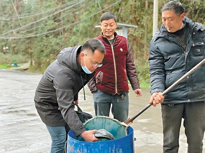 致富鱼南岙村_致富经鱼_致富鱼丰收