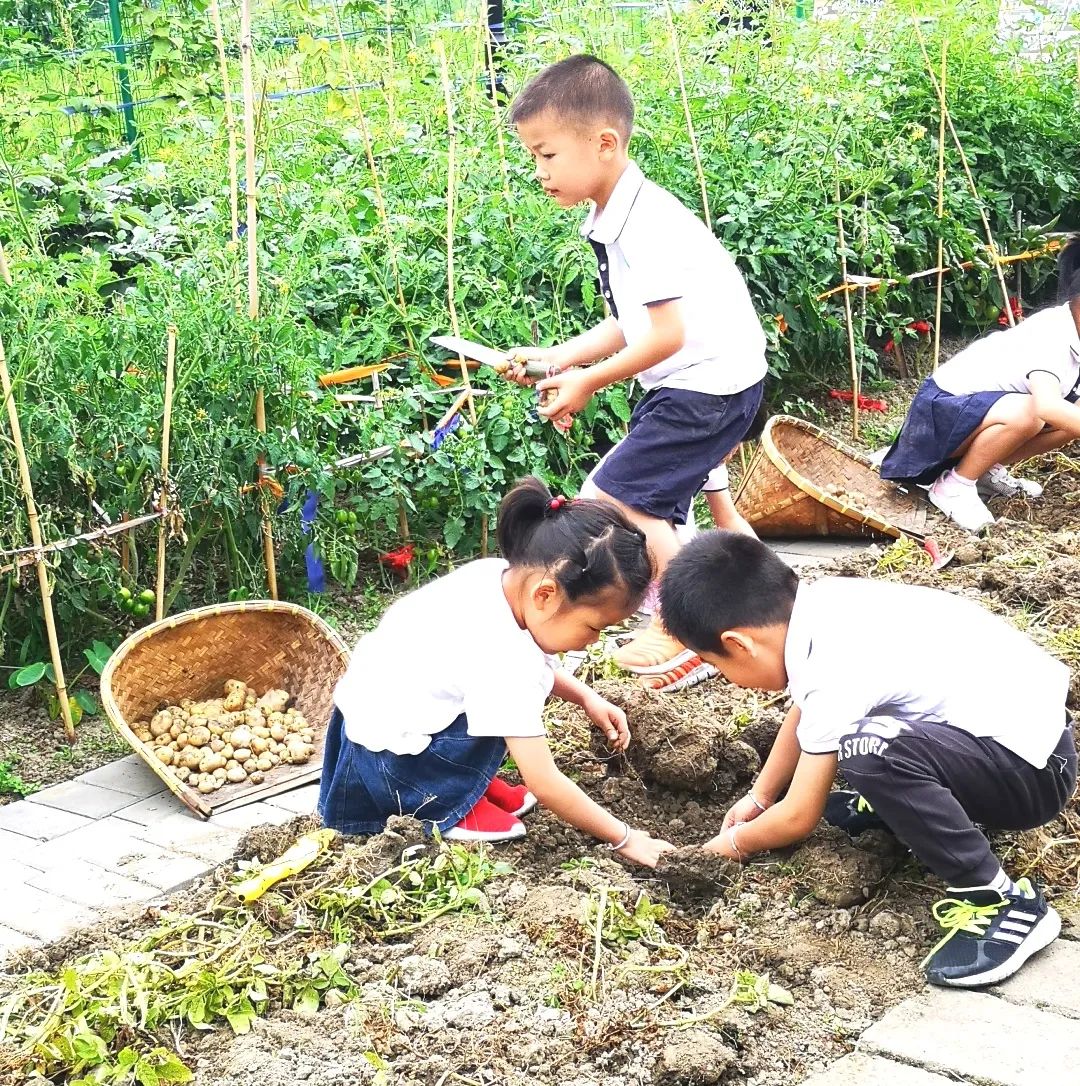 晨间锻炼内容指导要点_优质晨间锻炼分享经验_晨间锻炼活动内容