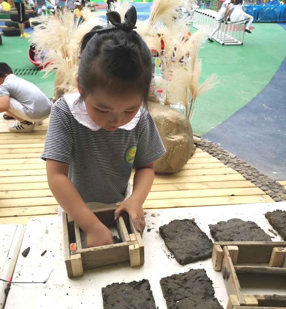 晨间锻炼内容指导要点_晨间锻炼活动内容_优质晨间锻炼分享经验