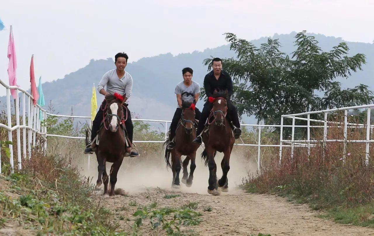 致富牛人阿福_致富经牛_致富牛人四川乡村