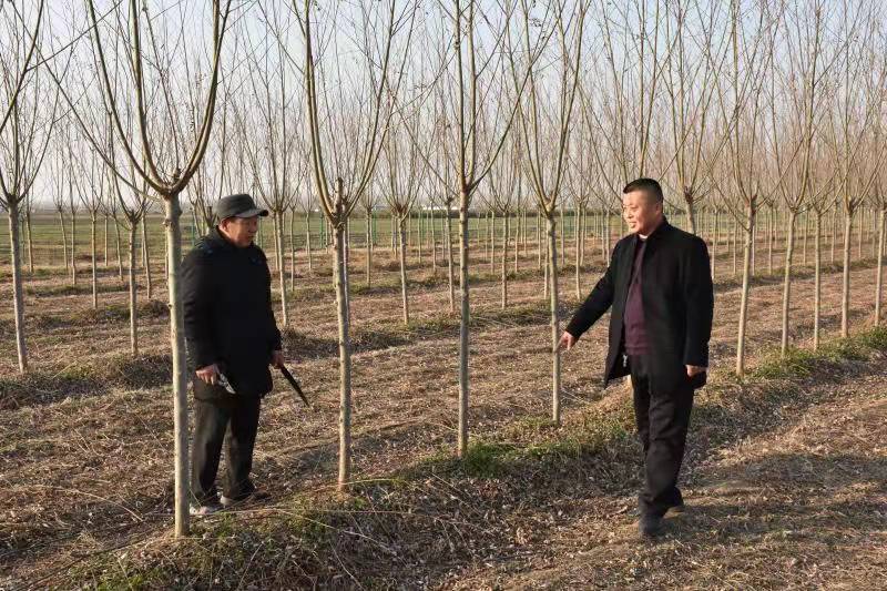 致富种植什么比较赚大钱_种植致富经_致富种植业