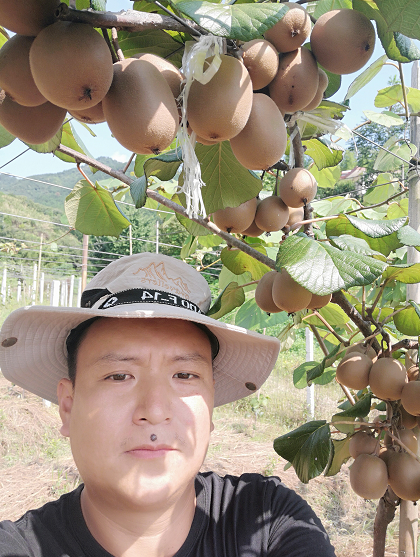种植致富经_致富种植业_致富种植什么比较赚大钱