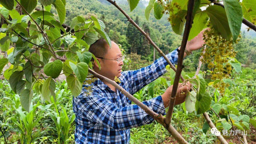 种植致富经_致富种植业_致富种植创业项目