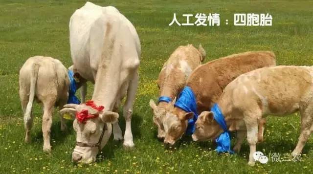 致富经全部视频_致富经全部视频创业项目_思考致富视频