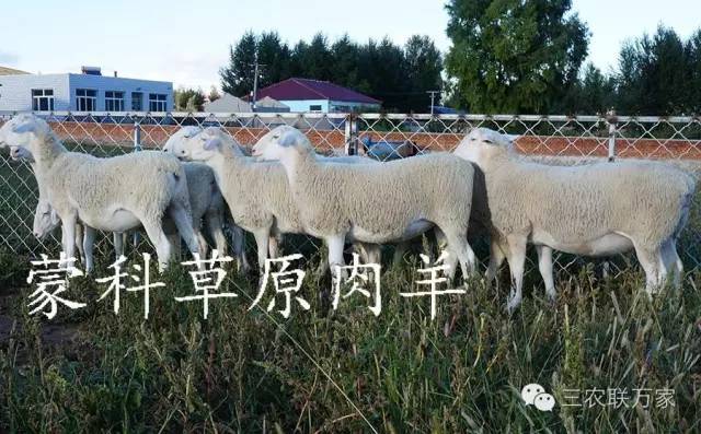 思考致富视频_致富经全部视频创业项目_致富经全部视频
