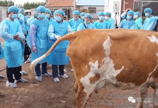 致富经全部视频创业项目_思考致富视频_致富经全部视频
