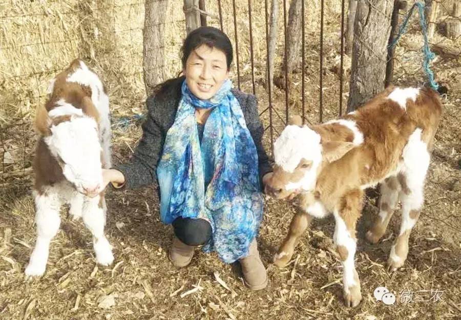 思考致富视频_致富经全部视频创业项目_致富经全部视频
