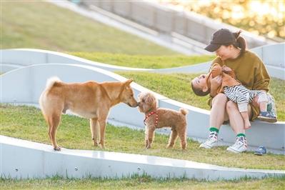 心得回应怎么写_心得优质回答经验的句子_优质回答的经验心得