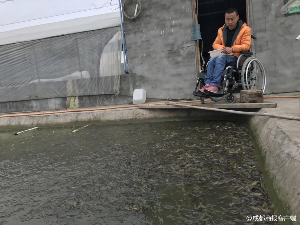 养殖泥鳅挣钱吗_致富养殖泥鳅怎么样_致富经泥鳅养殖