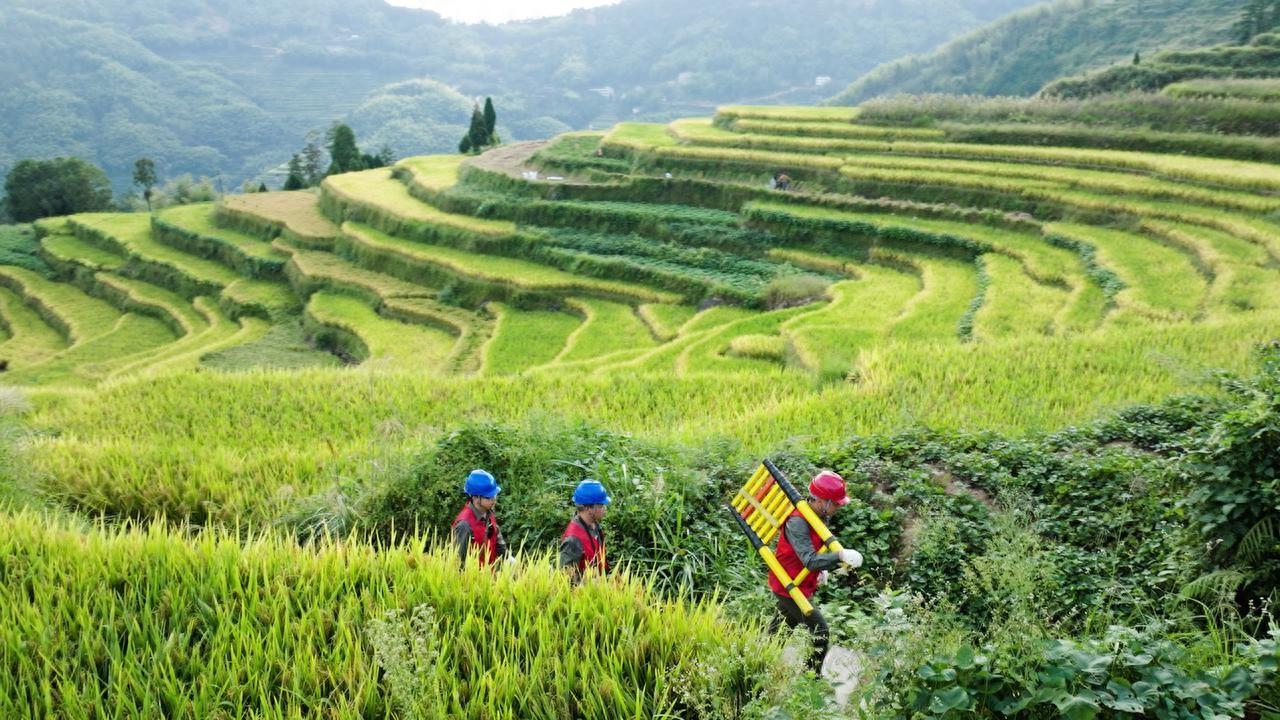 电力典型经验材料范文_电力优质服务典型经验_典型电力优质经验服务方案