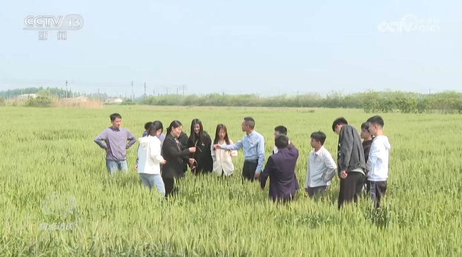 农业卫视致富项目_农业致富频道节目表_农业节目致富经