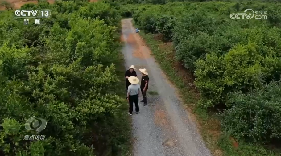 农业致富频道节目表_农业节目致富经_农业卫视致富项目