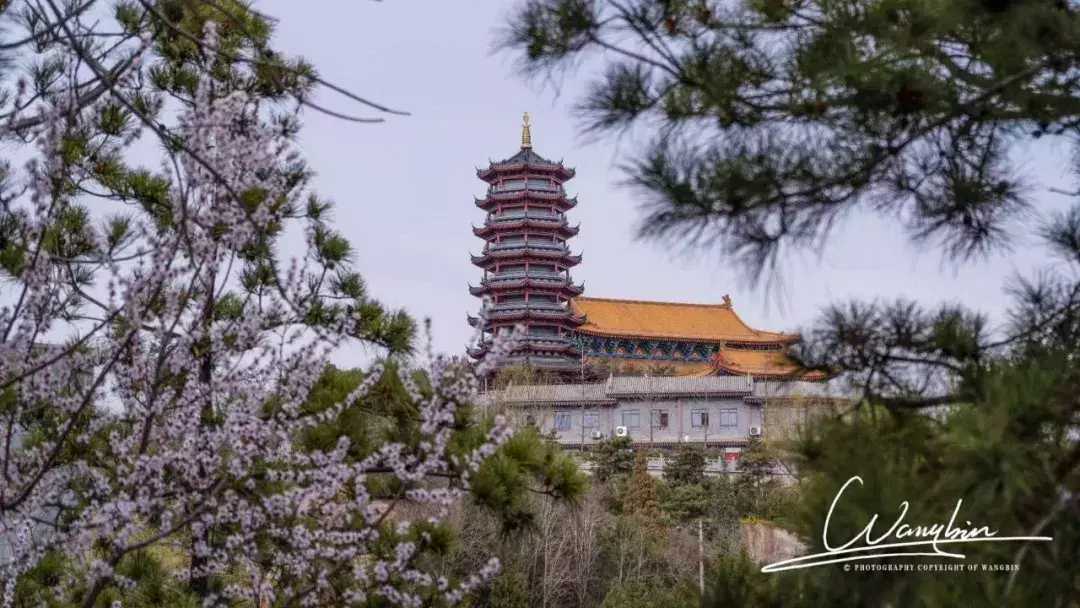 “心得体会”_心得体会和经验教训_学习韩城经验心得体会