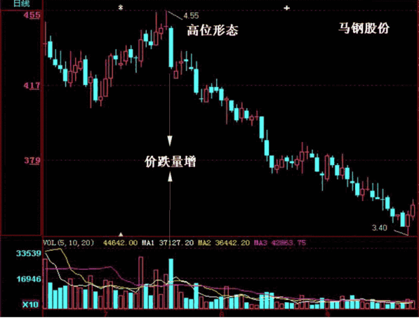 致富经养乌龟_致富经乌龟养殖场的视频_致富经养龟