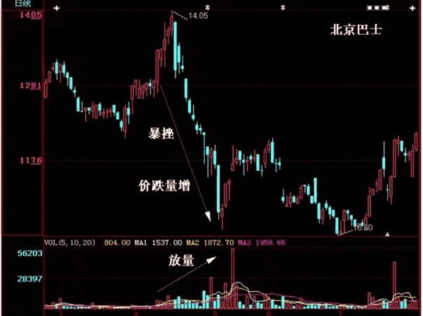 致富经乌龟养殖场的视频_致富经养乌龟_致富经养龟