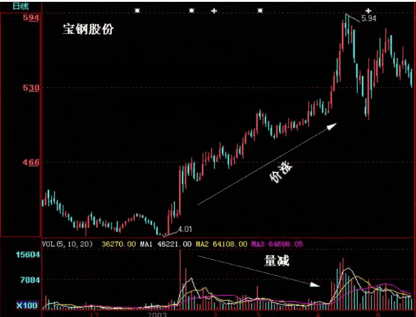 致富经养乌龟_致富经养龟_致富经乌龟养殖场的视频