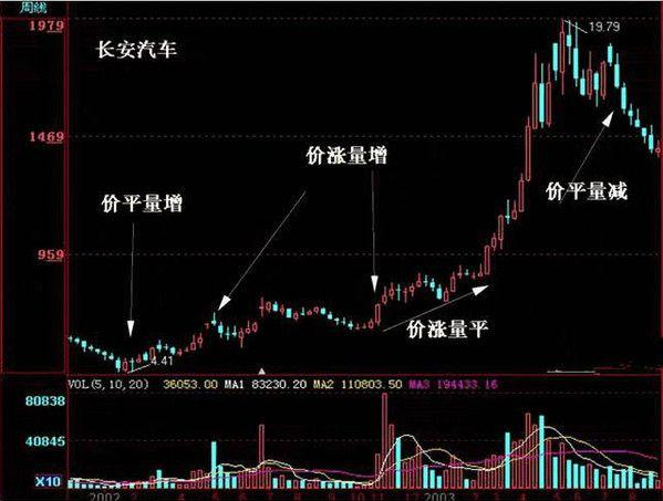 致富经乌龟养殖场的视频_致富经养乌龟_致富经养龟