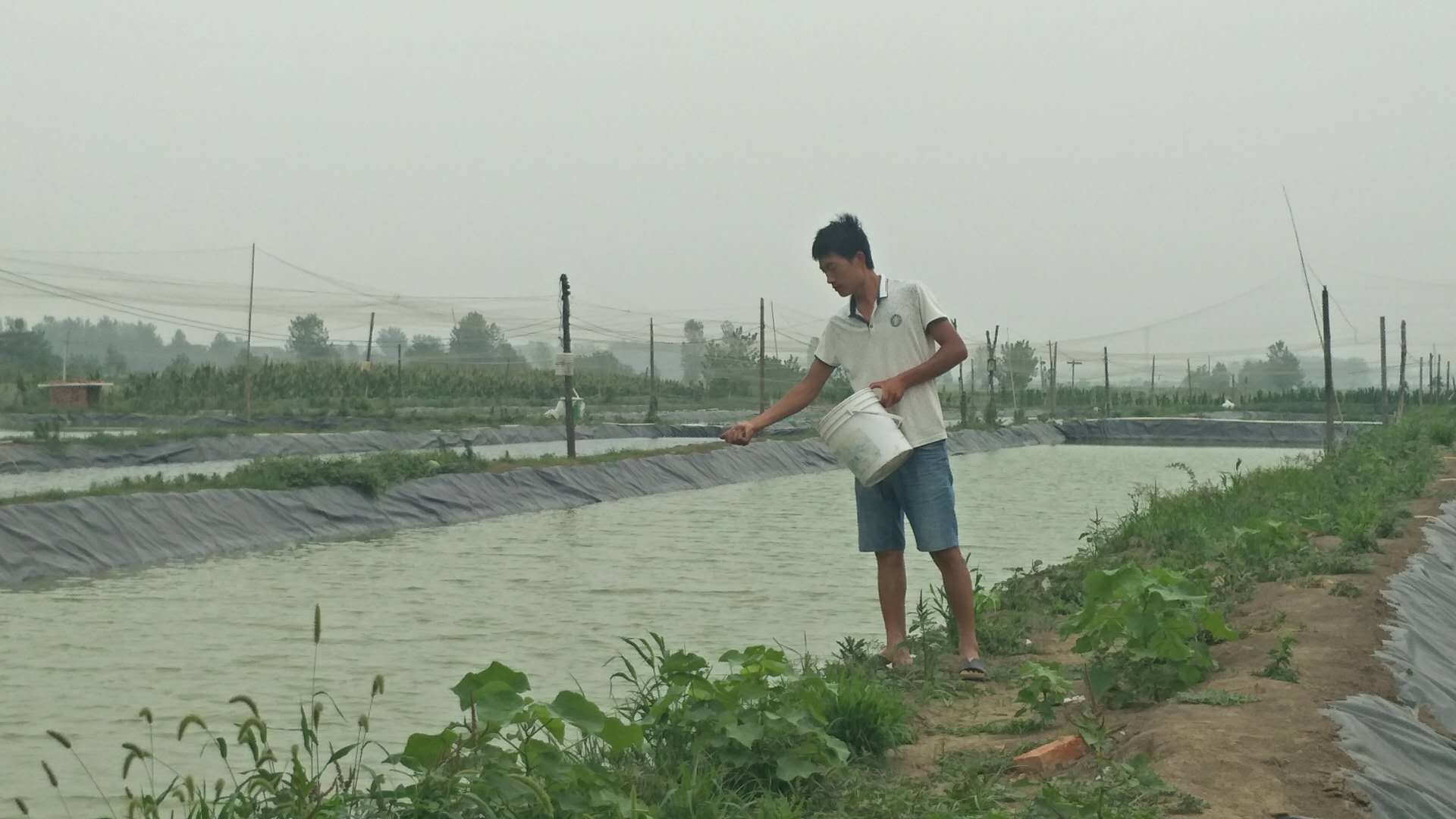 致富泥鳅养殖_致富经泥鳅养殖视频全集_致富经泥鳅