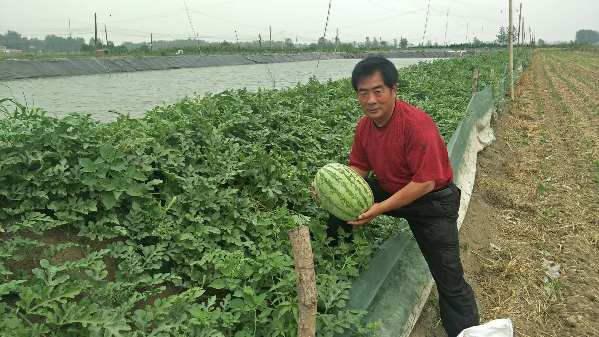 致富经泥鳅养殖视频全集_致富泥鳅养殖_致富经泥鳅