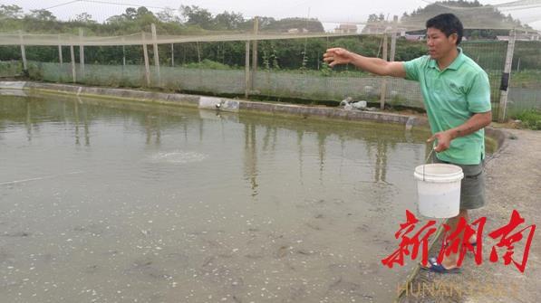 2018泥鳅养殖骗局_致富经泥鳅_致富经养泥鳅