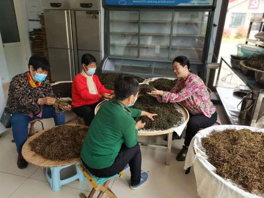 中央致富经在哪个频道_中央7台致富经_中央台致富经联系方式