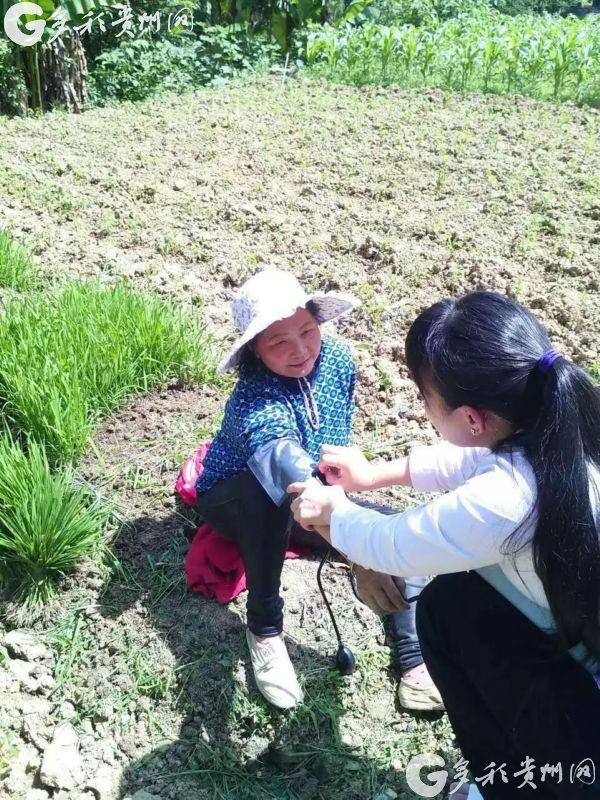 致富小村医_村医致富经小说阅读_村医致富经