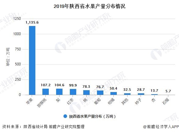 2019年陕西省水果产量分布情况