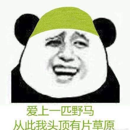 我做了一个小小的决定，我家狗子会恨我一辈子吗？