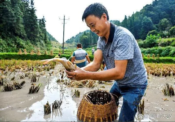 致富经养鱼_养鱼致富经_致富养鱼视频