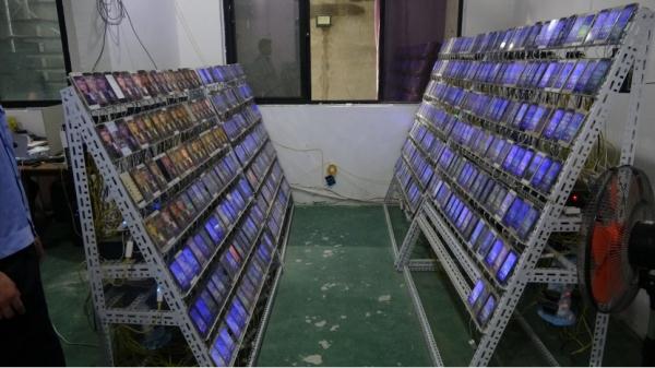 cctv7致富經湖羊养殖视频_cctv7致富经_cctv7致富技术