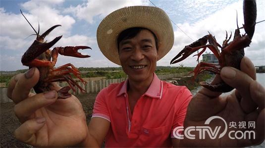 [致富经]虾叔的小龙虾梦(20150626)