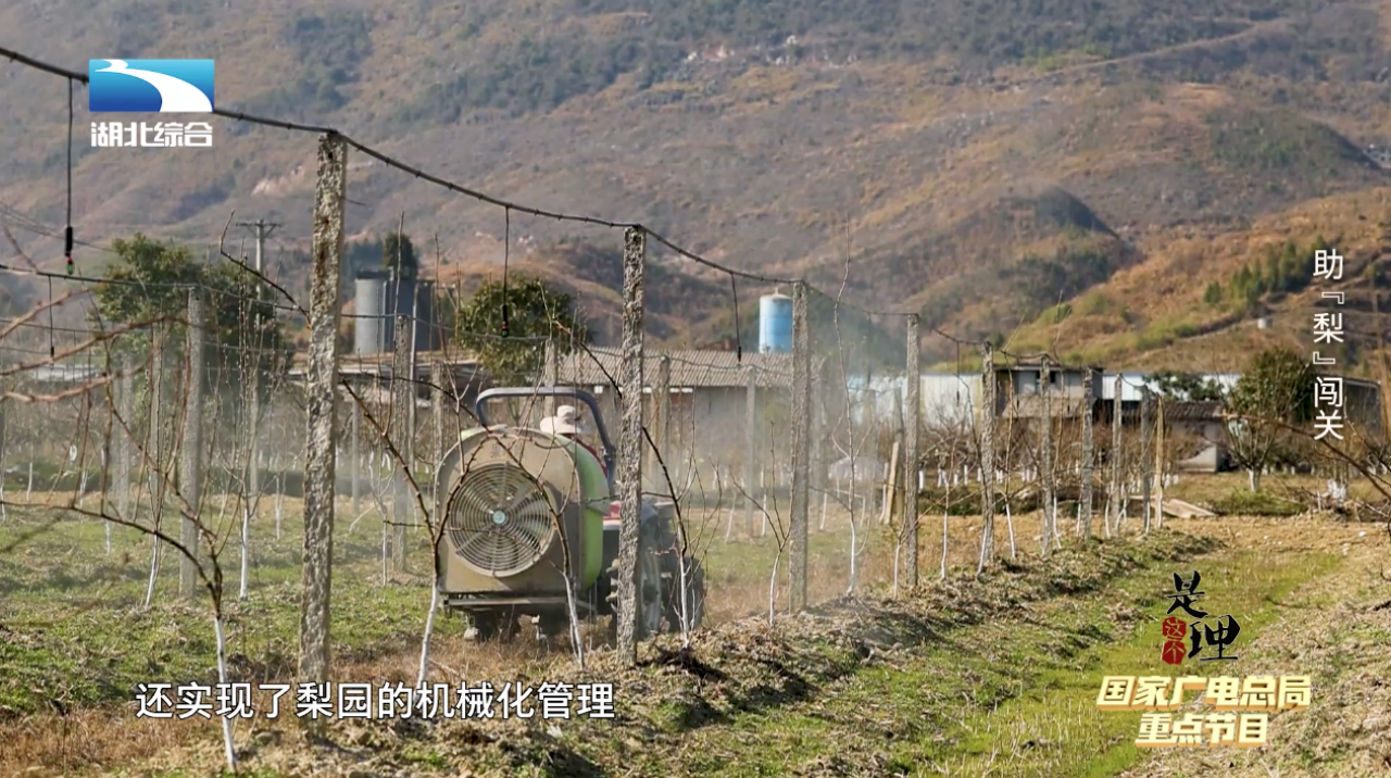 中央七套致富经_中央台致富节目有哪些_中央致富经是真的假的