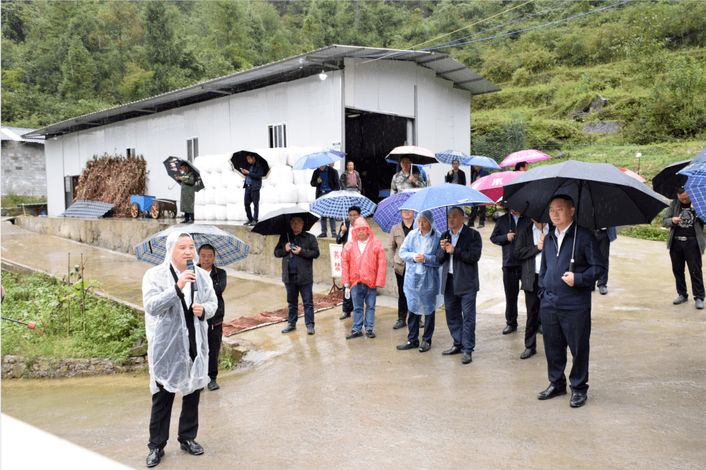 2018农村养什么致富快_致富经养_农村致富小项目养黄鳝