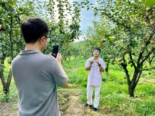 致富经养_养鸽子致富_农林卫视养野猪致富女人