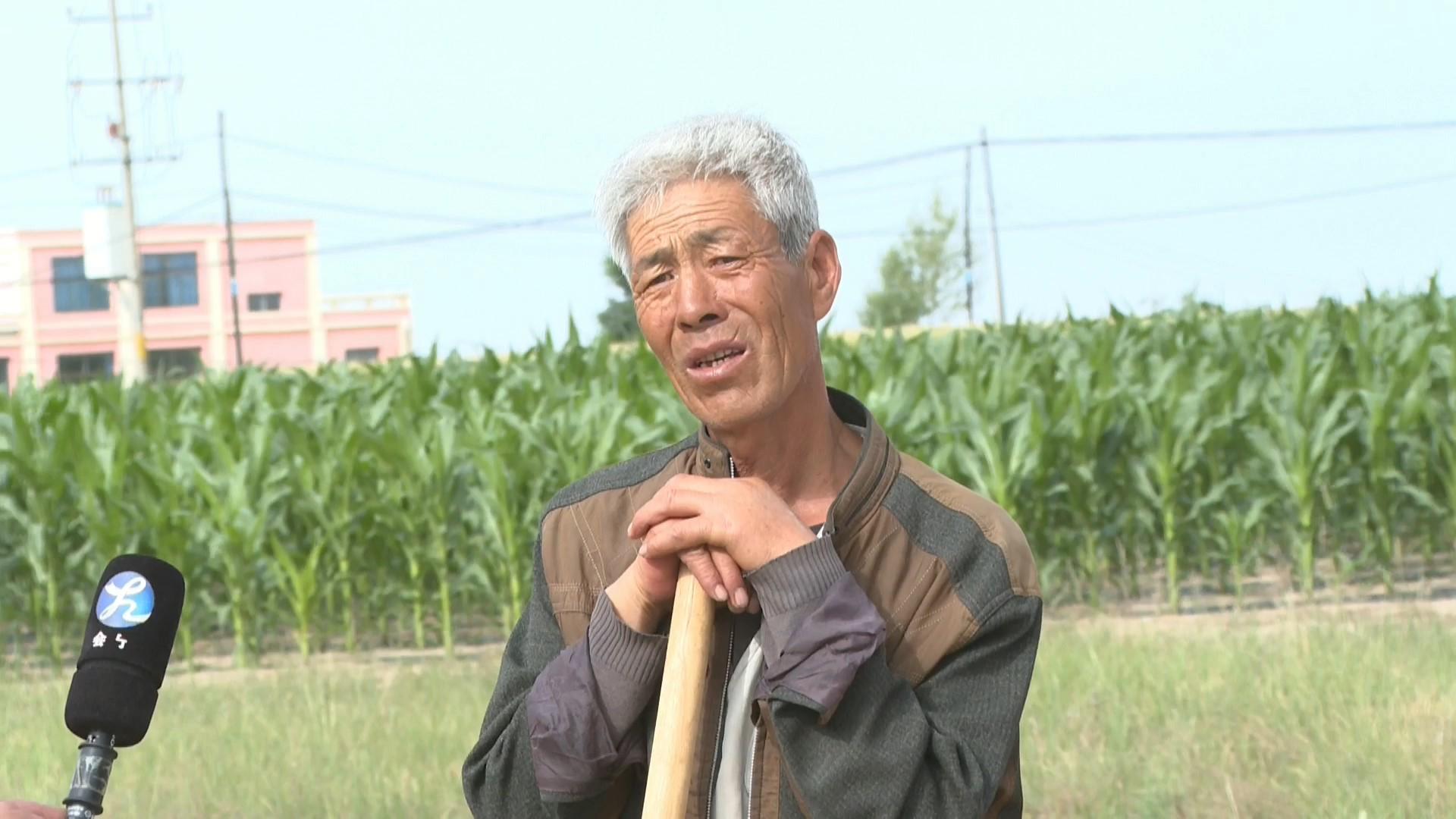 村庄规划的思路_优秀村庄规划案例_借鉴优质村庄规划经验分享